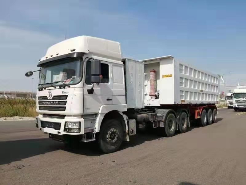 Nuevo camión volquete Shacman 6x4 8x4 Tipper Truck Shacman